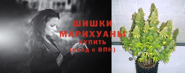 ПСИЛОЦИБИНОВЫЕ ГРИБЫ Остров