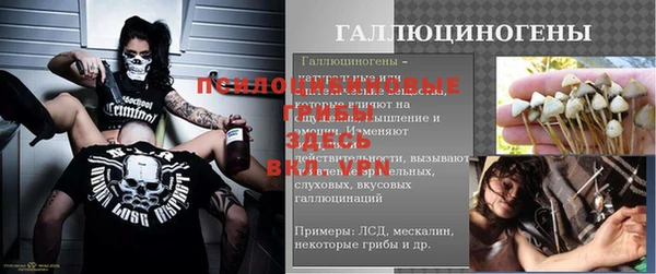 ПСИЛОЦИБИНОВЫЕ ГРИБЫ Остров